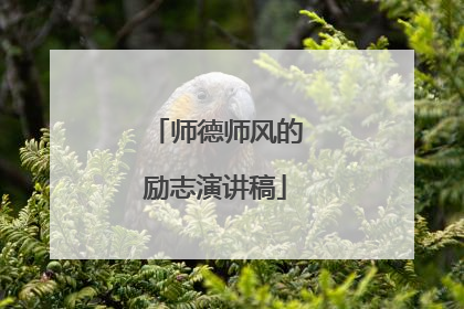 师德师风的励志演讲稿