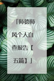 师德师风个人自查报告【五篇】