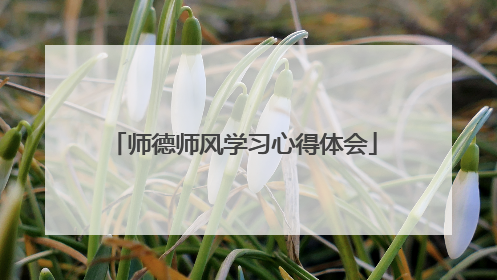 师德师风学习心得体会