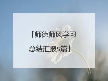 师德师风学习总结汇报5篇