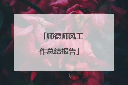 师德师风工作总结报告