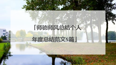 师德师风总结个人年度总结范文5篇