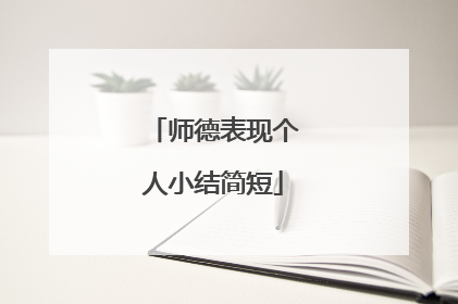 师德表现个人小结简短