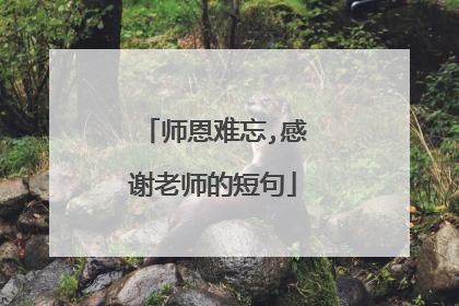 师恩难忘,感谢老师的短句
