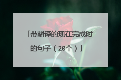 带翻译的现在完成时的句子（20个）