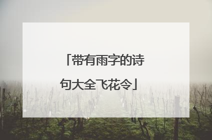 带有雨字的诗句大全飞花令