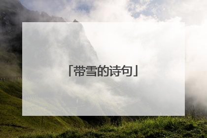 带雪的诗句