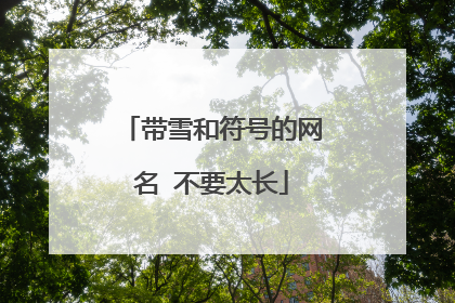 带雪和符号的网名 不要太长