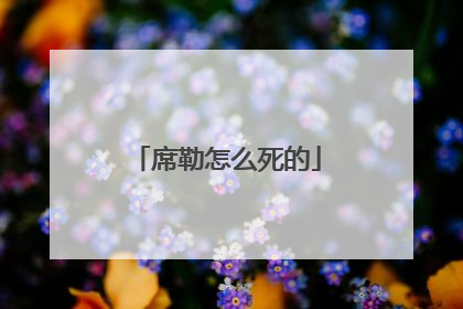 席勒怎么死的