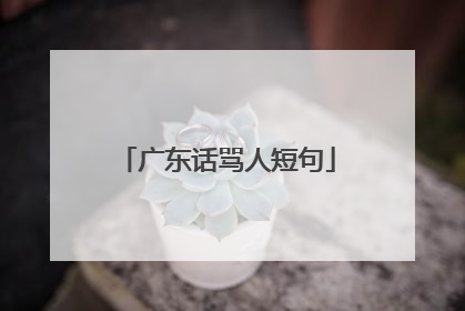 广东话骂人短句
