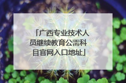 广西专业技术人员继续教育公需科目官网入口地址