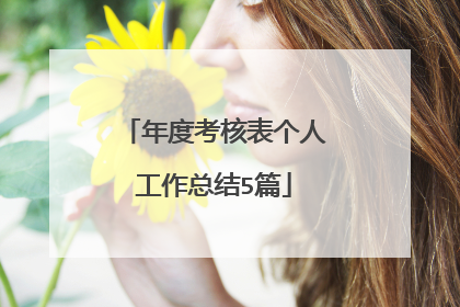 年度考核表个人工作总结5篇