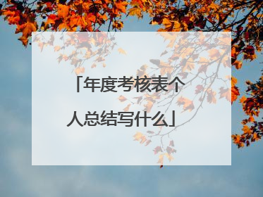 年度考核表个人总结写什么
