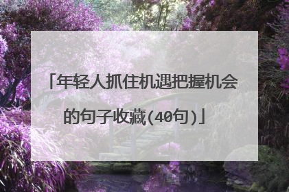 年轻人抓住机遇把握机会的句子收藏(40句)
