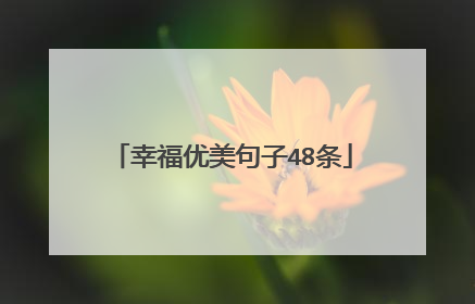 幸福优美句子48条