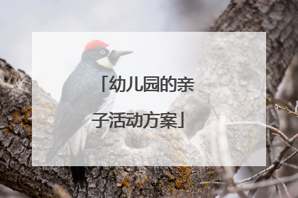 幼儿园的亲子活动方案