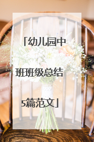 幼儿园中班班级总结5篇范文