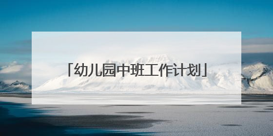 幼儿园中班工作计划