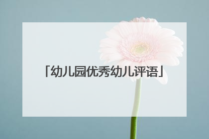 幼儿园优秀幼儿评语