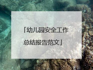 幼儿园安全工作总结报告范文