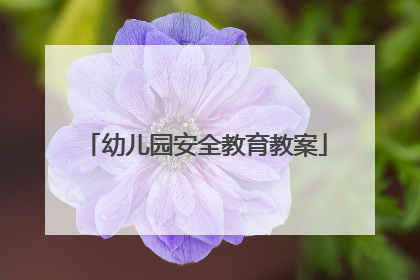 幼儿园安全教育教案