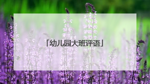幼儿园大班评语
