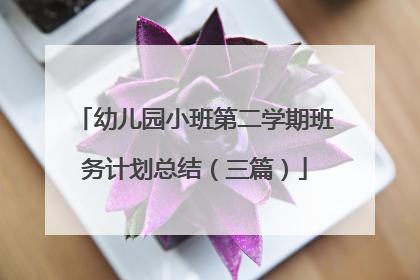 幼儿园小班第二学期班务计划总结(三篇)