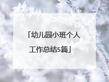 幼儿园小班个人工作总结5篇