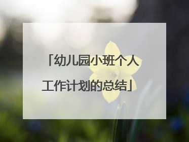 幼儿园小班个人工作计划的总结