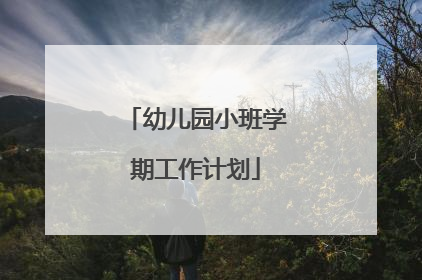 幼儿园小班学期工作计划