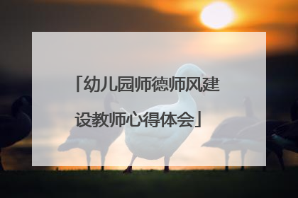 幼儿园师德师风建设教师心得体会