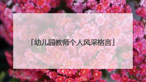 幼儿园教师个人风采格言