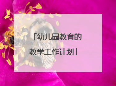 幼儿园教育的教学工作计划