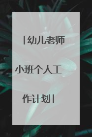 幼儿老师小班个人工作计划