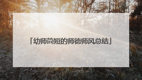 幼师简短的师德师风总结