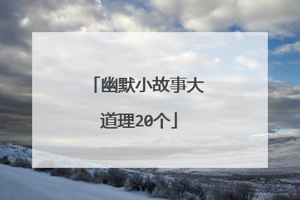 幽默小故事大道理20个