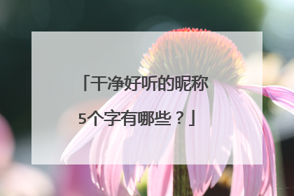 干净好听的昵称5个字有哪些?