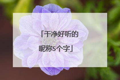 干净好听的昵称5个字