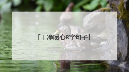 干净暖心8字句子