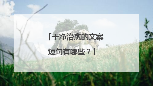 干净治愈的文案短句有哪些？