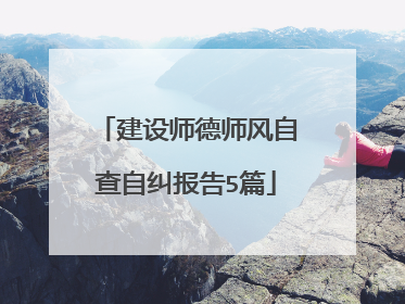 建设师德师风自查自纠报告5篇