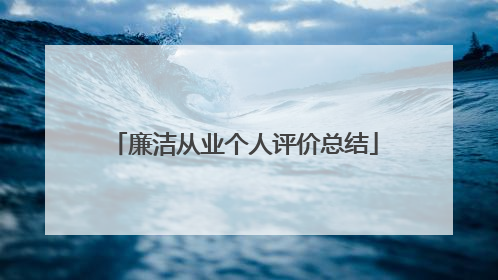 廉洁从业个人评价总结