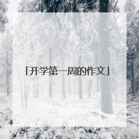 开学第一周的作文