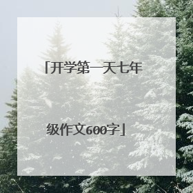 开学第一天七年级作文600字