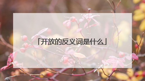 开放的反义词是什么