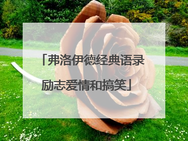 弗洛伊德经典语录励志爱情和搞笑
