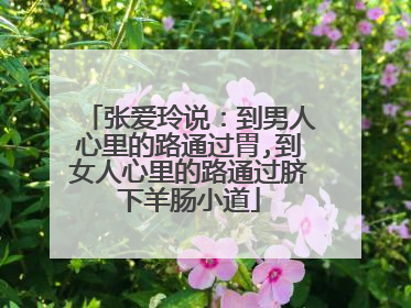 张爱玲说:到男人心里的路通过胃,到女人心里的路通过脐下羊肠小道