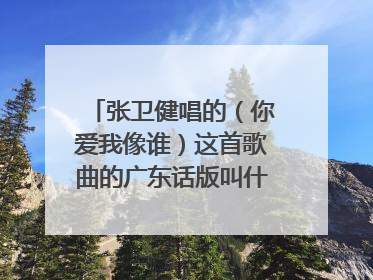 张卫健唱的（你爱我像谁）这首歌曲的广东话版叫什么名字。