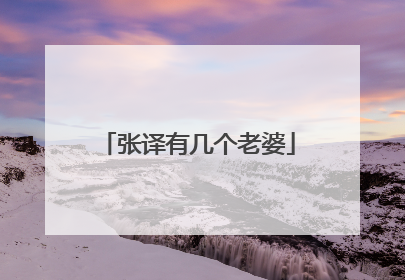 张译有几个老婆