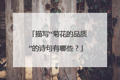 描写“菊花的品质”的诗句有哪些？